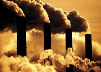 Insentif Pajak Perlu Diberikan untuk Industri Netral Karbon