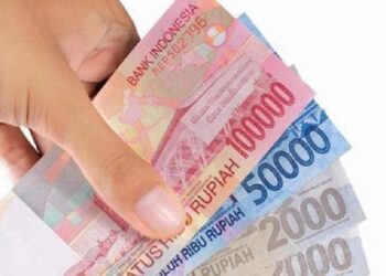 Retribusi Pelayanan Tertentu, Berikut Rinciannya
