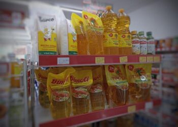 BPKN Minta Pemerintah Kembalikan HET Minyak Goreng