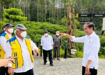 Presiden Jokowi Tinjau Progres Proyek IKN