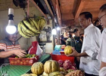 Jelang Lebaran, Presiden Jokowi Cek Harga Pangan di Dua Pasar Jakarta