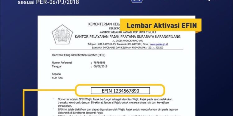 Prosedur Dapat EFIN Pajak Orang Pribadi