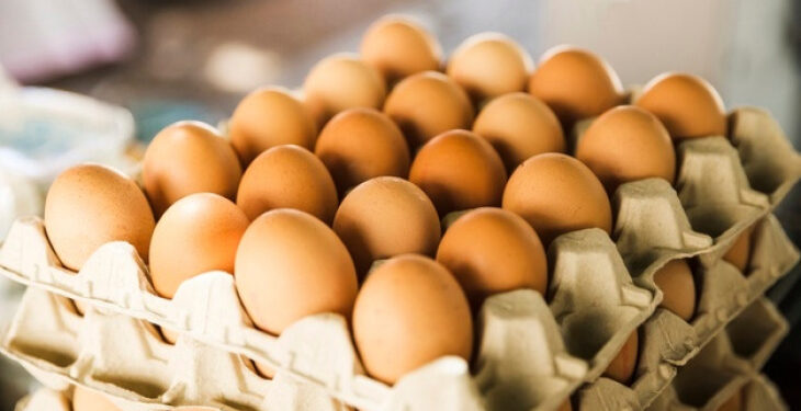 Harga Telur Ayam Kapan Turun?