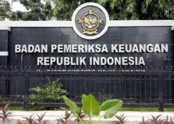 Tugas dan Wewenang BPKP dan BPK