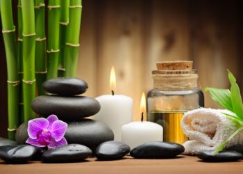 Pemajakan Spa sebagai Objek Pajak Hiburan