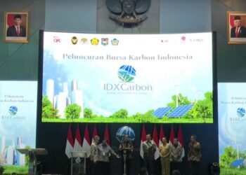 Bursa Karbon Indonesia Diluncurkan, Indonesia Siap Hadapi Perubahan Iklim