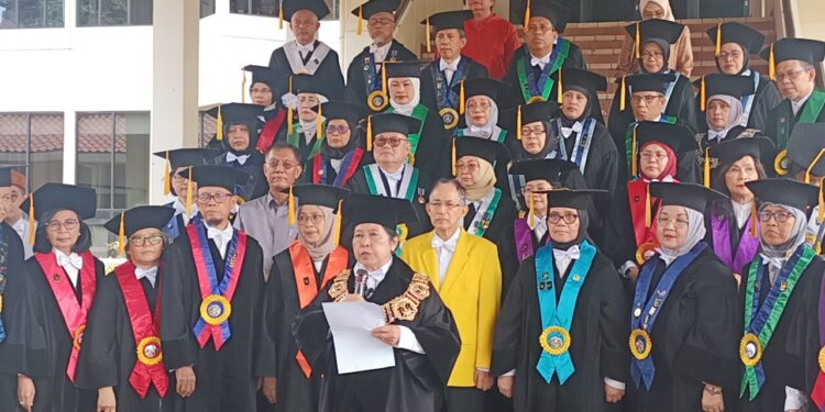 UI Prihatin Hancurnya Tatanan Hukum dan Demokrasi, Hilangnya Etika Bernegara