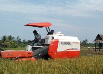 Kemenperin Siapkan Insentif Pajak Industri Alat Mesin Pertanian Demi Ketahanan Pangan